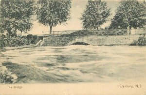 Bridge Cranbury New Jersey Groves #235 Postcard 11371