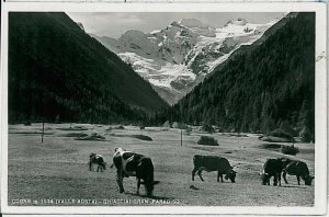 31893 AOSTA province vintage postcard - cogne-