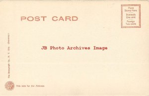 CT, Winsted, Connecticut, Highland Lake View, Rotograph No 5349a 