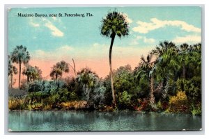 Maximo Bayou Near St Petersburg Florida FL UNP DB Postcard T4