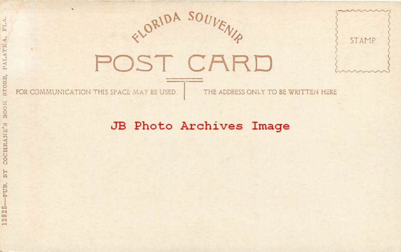 313135-Black Americana, Cochrane No 12825, Watermelon Time in Florida, Family