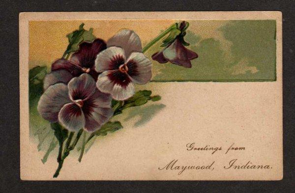 IN Greetings from MAYWOOD INDIANA Postcard PC Pansies