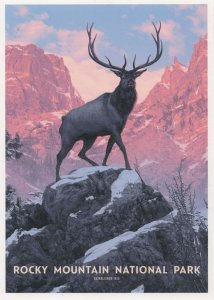 Rocky Mountain National Park Deer Longs Peak Colorado USA Postcard
