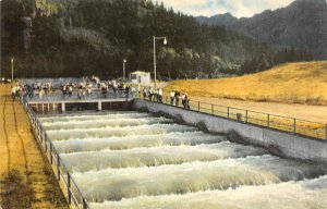 Fish Ladders Misc, Oregon OR