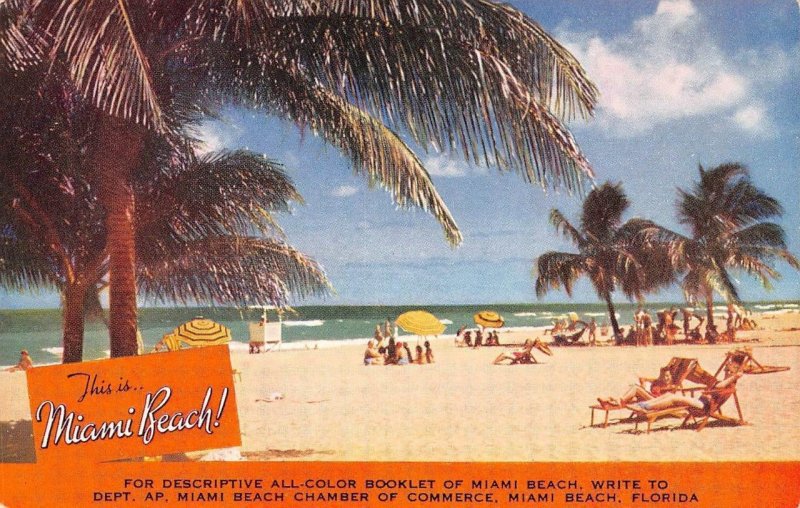 Florida Greetings MIAMI BEACH Palm Trees Beach Scene c1950s Vintage Postcard