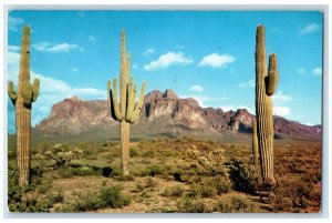 1959 Superstition Mountains Desert Cactus Mountain Mesa Arizona Vintage Postcard