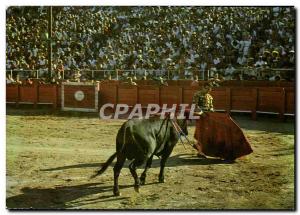 Modern Postcard The First Bullfight FEMPS D & Natural # 39A