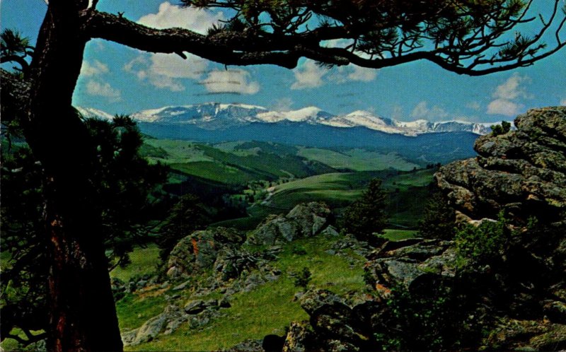 Wyoming Buffalo Big Horn National Forest 1967