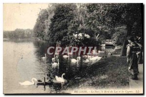 Old Postcard Lyon The Lake Edge Park and the Swan