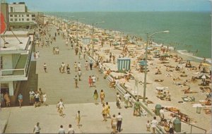 Postcard Rehoboth Delaware Beach and Boardwalk North 1958