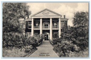 c1950's Entrance to the Building Rosalie Natchez Mississippi MS Postcard