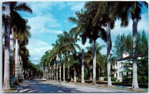 Postcard - Royal Palms at Fort Myers, Florida