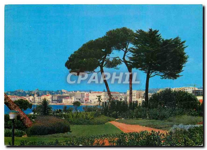 Modern Postcard Cannes General view taken from the Gardens of Palm Beach