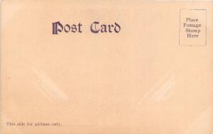 Port Chester New York~Summerfield Methodist Episcopal Church~1904 Postcard
