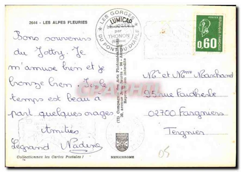 Modern Postcard The Alps Flowery