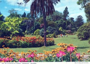 VINTAGE CONTINENTAL POSTCARD THE ROYAL BOTANICAL GARDENS MELBOURNE AUSTRALIA