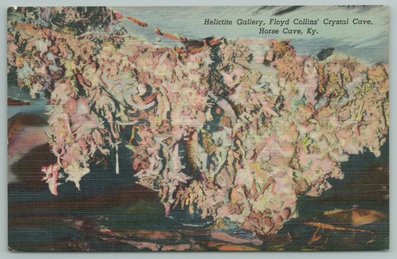 Horse Cave Kentucky~Helictite Gallery~Floyd Collin Crystal Cave~Vintage Postcard