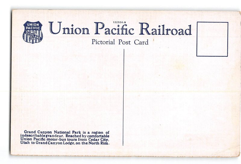 Arizona AZ Union Pacific Railroad Postcard 1930-1950 Grand Canyon National Park