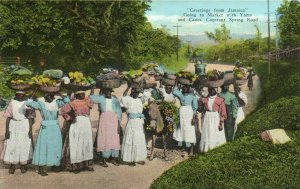 PC JAMAICA, GOING TO MARKET WITH YAMS, Vintage Postcard (b40016)