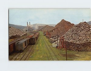 Postcard Pulpwood Piles, Rumford, Maine