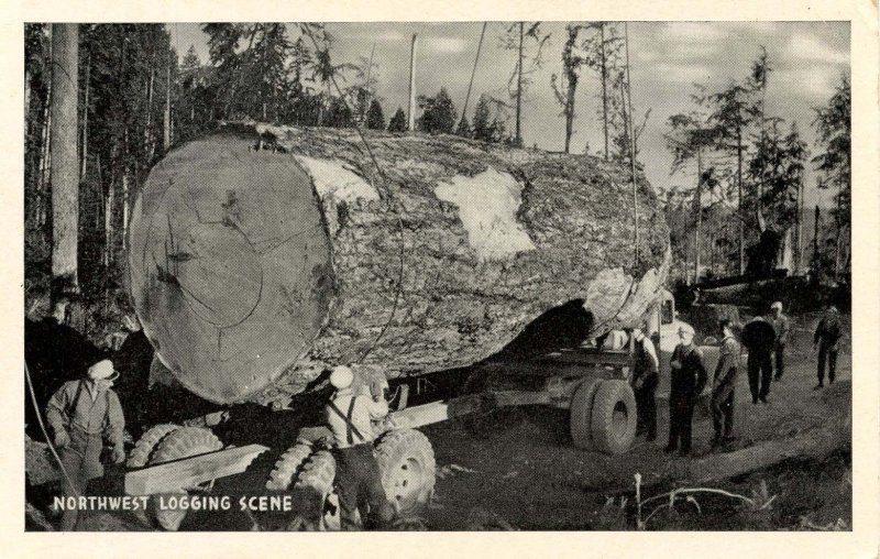 Logging - Northwest USA Logging Scene