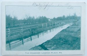 VINTAGE POSTCARD THE MEADOWS - LEAMAN PLACE PA