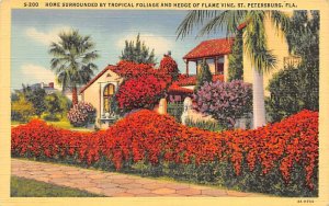 Home Surrounded by Tropical Foilage Hedge of Flame Vine St Petersburg FL 