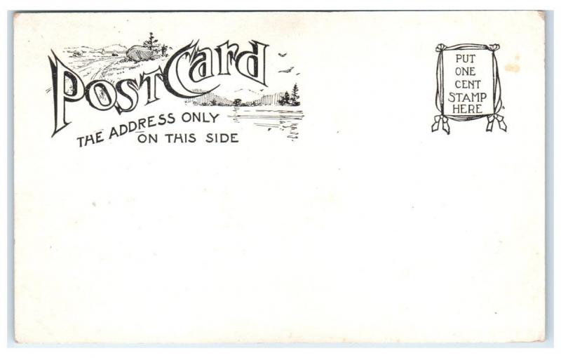 Early 1900s Bussey Farm, South Street, Roslindale, MA Postcard