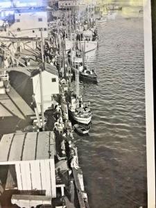 Postcard  RPPC  Birdseye Waterfront View of Ketchikan, Alaska.  Y9