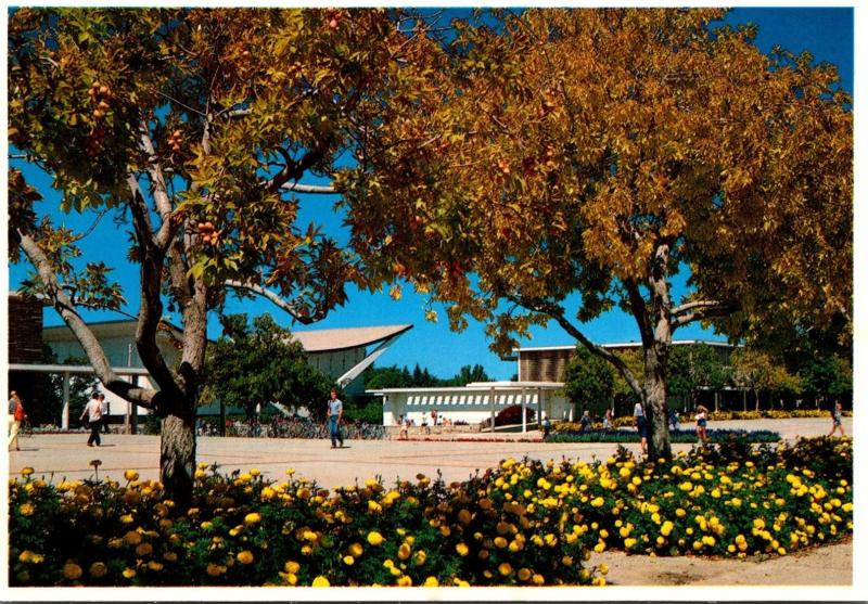 Colorado Fort Collins Colorado State University Campus Scene