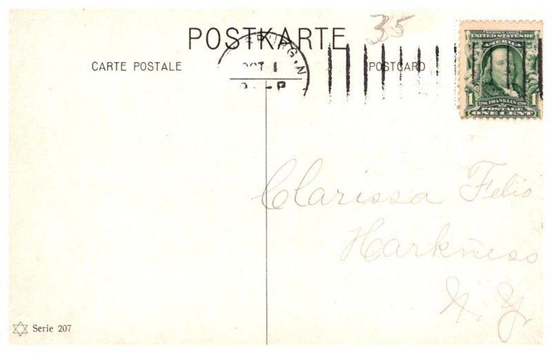 Dog  ,  chewing bone