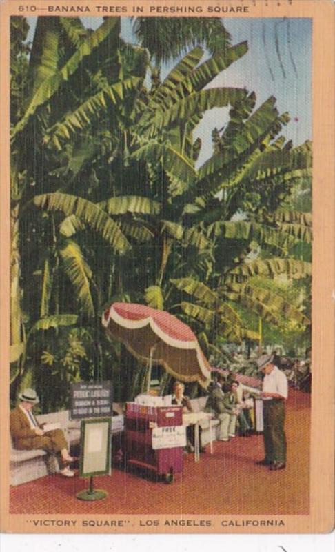 California Los Angeles Banana Trees In Pershing Square 1943