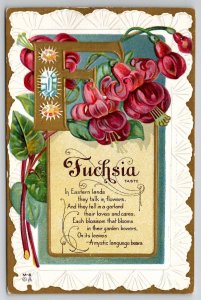 Fuchsia Flower And Poem E Nash Alphabet Series Golden Letter F Postcard L37