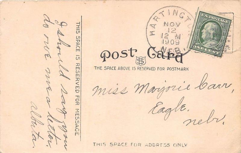 C66/ Hartington Nebraska Ne Postcard 1909 A Residence Street Homes