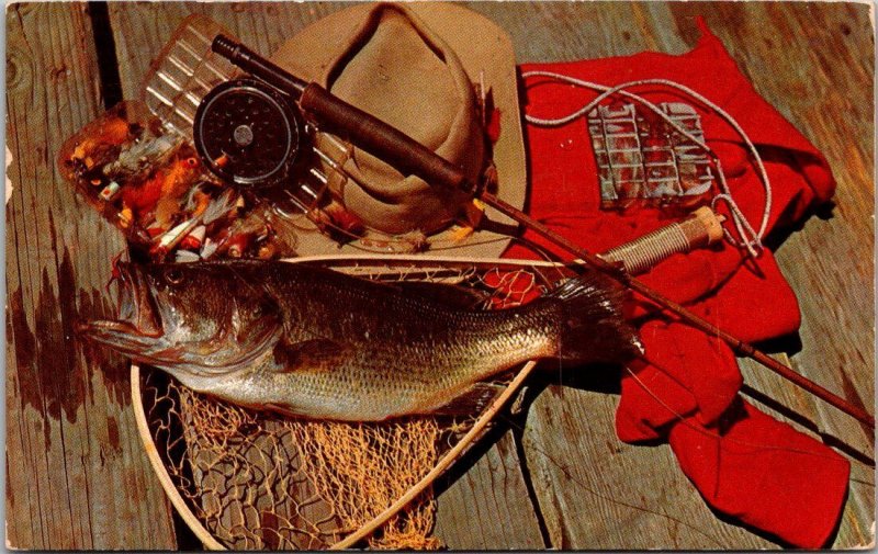 Fishing Day's Catch Sportman's Dream Large Mount Bass 1958