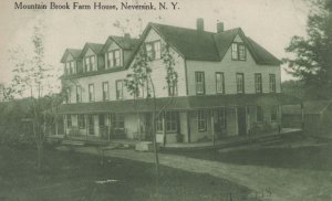 Mountain Brook Farm House Neversink USA New York Old Postcard