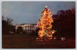 Washington DC~View Of The White House @ Christmas Time~Capsco Vintage Postcard