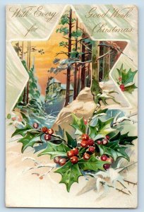 Lanesboro MN Postcard Christmas Holly Berries Star Winter Scene Embossed 1906