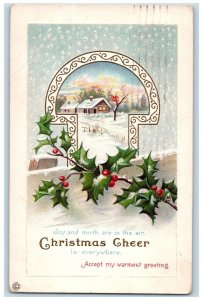 Christmas Postcard Holly Berries Winter Scene Snowfall Elgin Illinois IL 1916