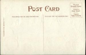 Thanksgiving - Turkeys Sing - Sheet Music Series #3 c1910 Postcard