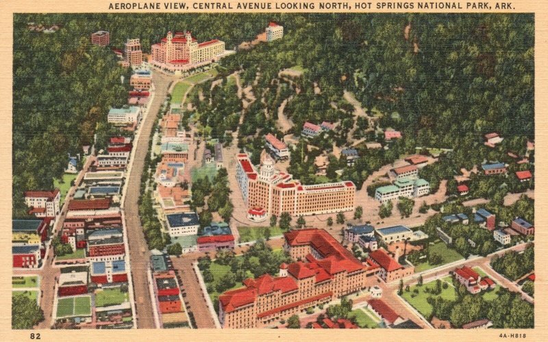 Vintage Postcard Central Avenue Looking North Hot Springs National Park Arkansas