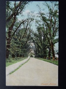 Northamptonshire Wellingborough KNUSTON Avenue c1906 Postcard by Valentine