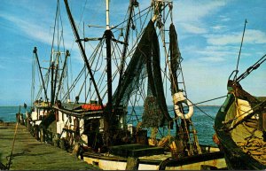 Texas Port Isabel and Padre Island Shrimp Boats