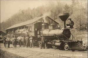 Narrow Gauge Train - West River Railroad - Vermont. c1910 - c1940s REISSUE RPPC