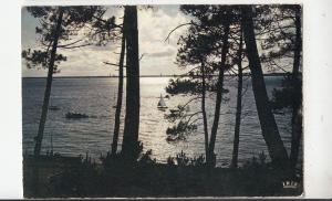 BF31088 bassin d arcachon contre jour sur le bassin france front/back image