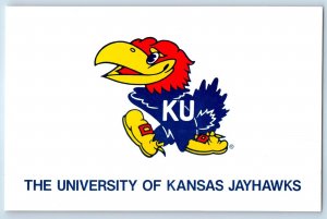 c1905 The University Of Kansas Jayhawks Unposted Vintage Postcard
