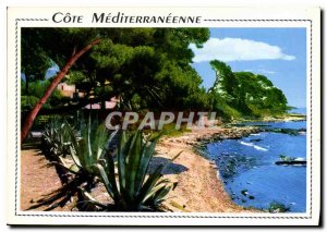 Postcard Modern Riviera Mediterranean creeks and pine woods