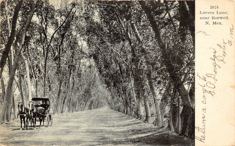 G44/ Roswell New Mexico Postcard c1910 Lovers Lane Horse Buggy