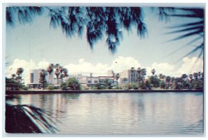 Business District Beautiful Palm-lined Daytona Beach Florida FL Vintage Postcard 