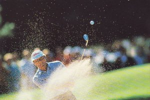 North Carolina Winston Salem Pro Golfer On The Championship Course At Tanglew...